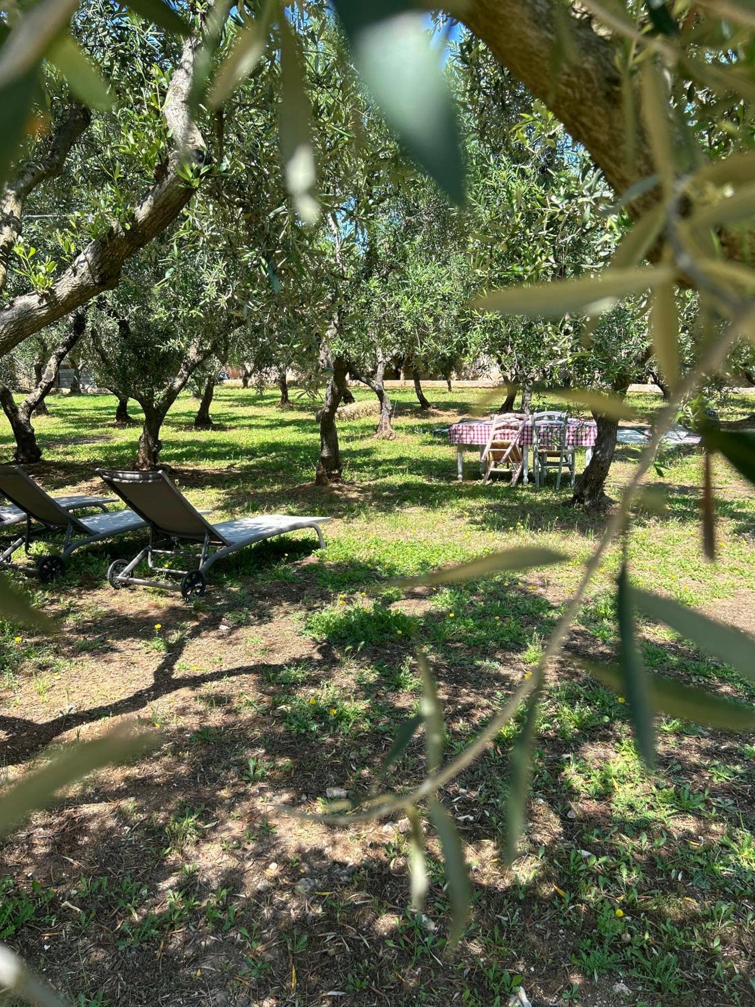 Sorelle Barnaba Country House 莫诺波利 外观 照片